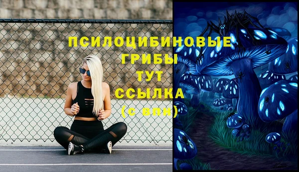 меф Беломорск