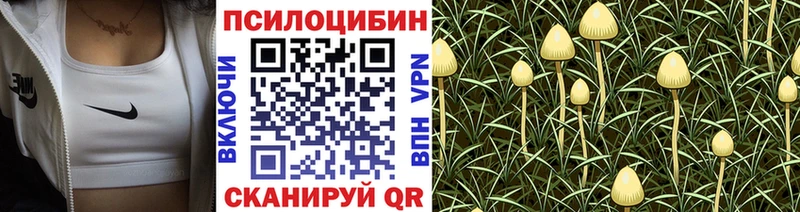 Псилоцибиновые грибы MAGIC MUSHROOMS  где купить   blacksprut зеркало  Ефремов 